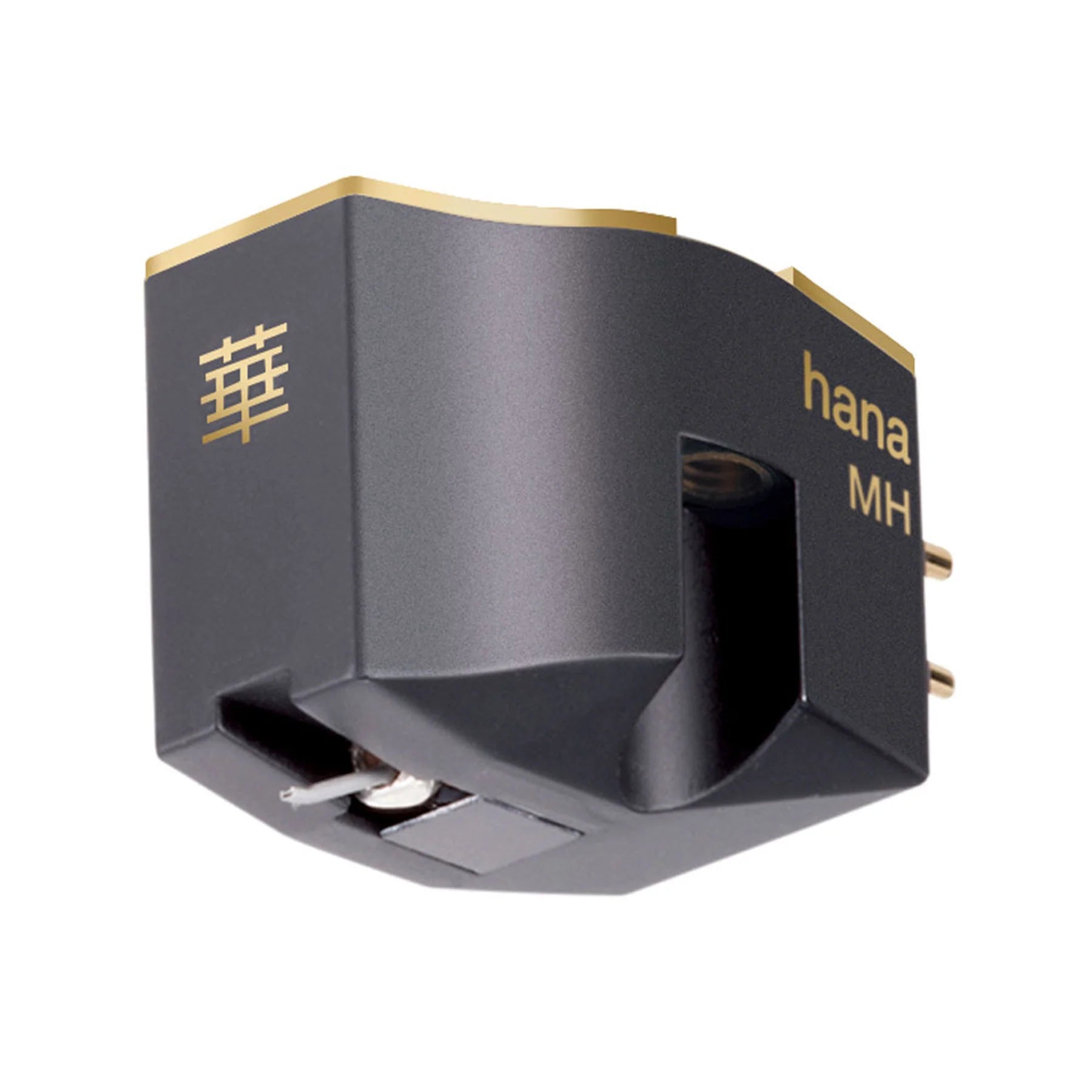 Hana MH testina