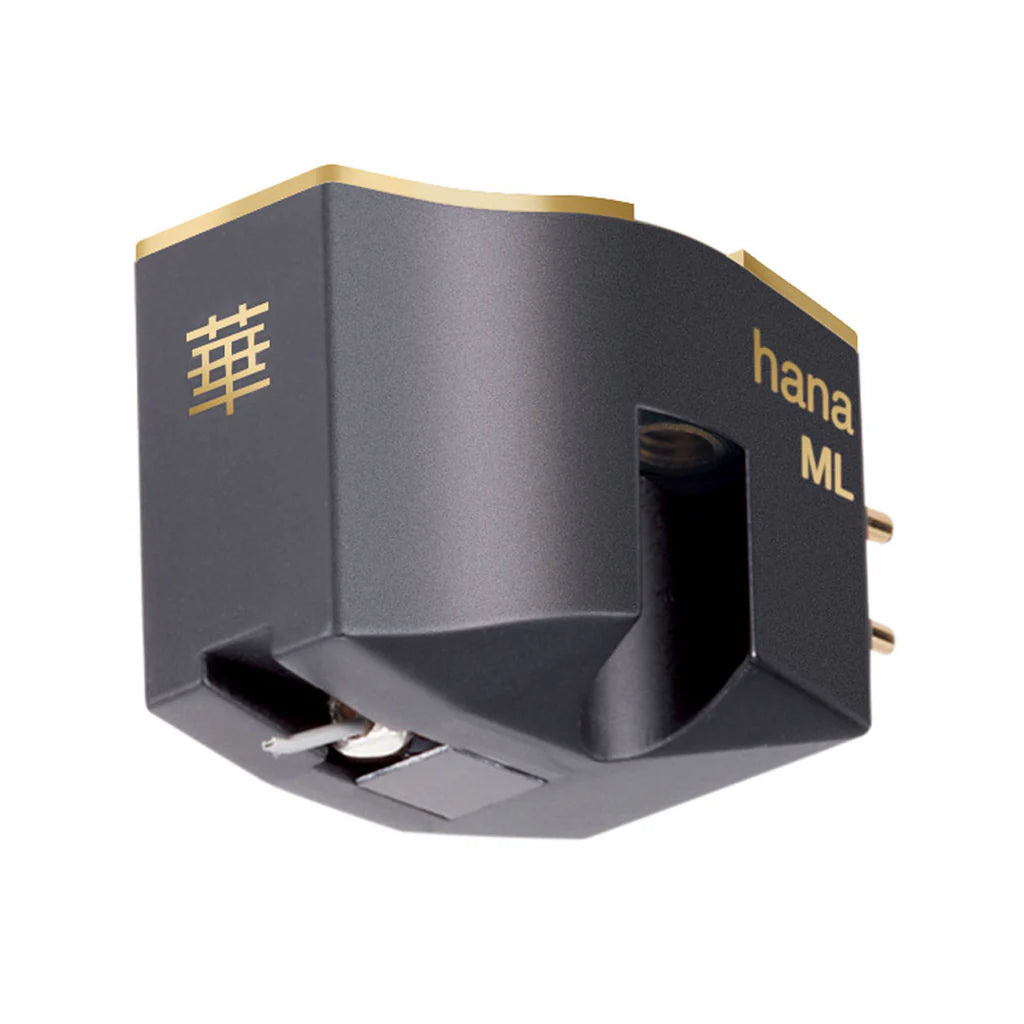 Hana ML testina