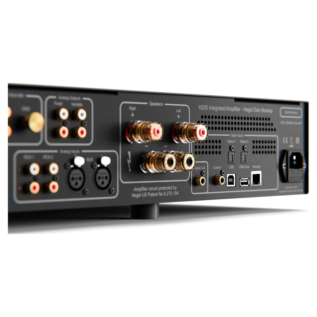 Hegel H200 rear panel with XLR and RCA analogue inputs, speaker binding posts and digital inputs