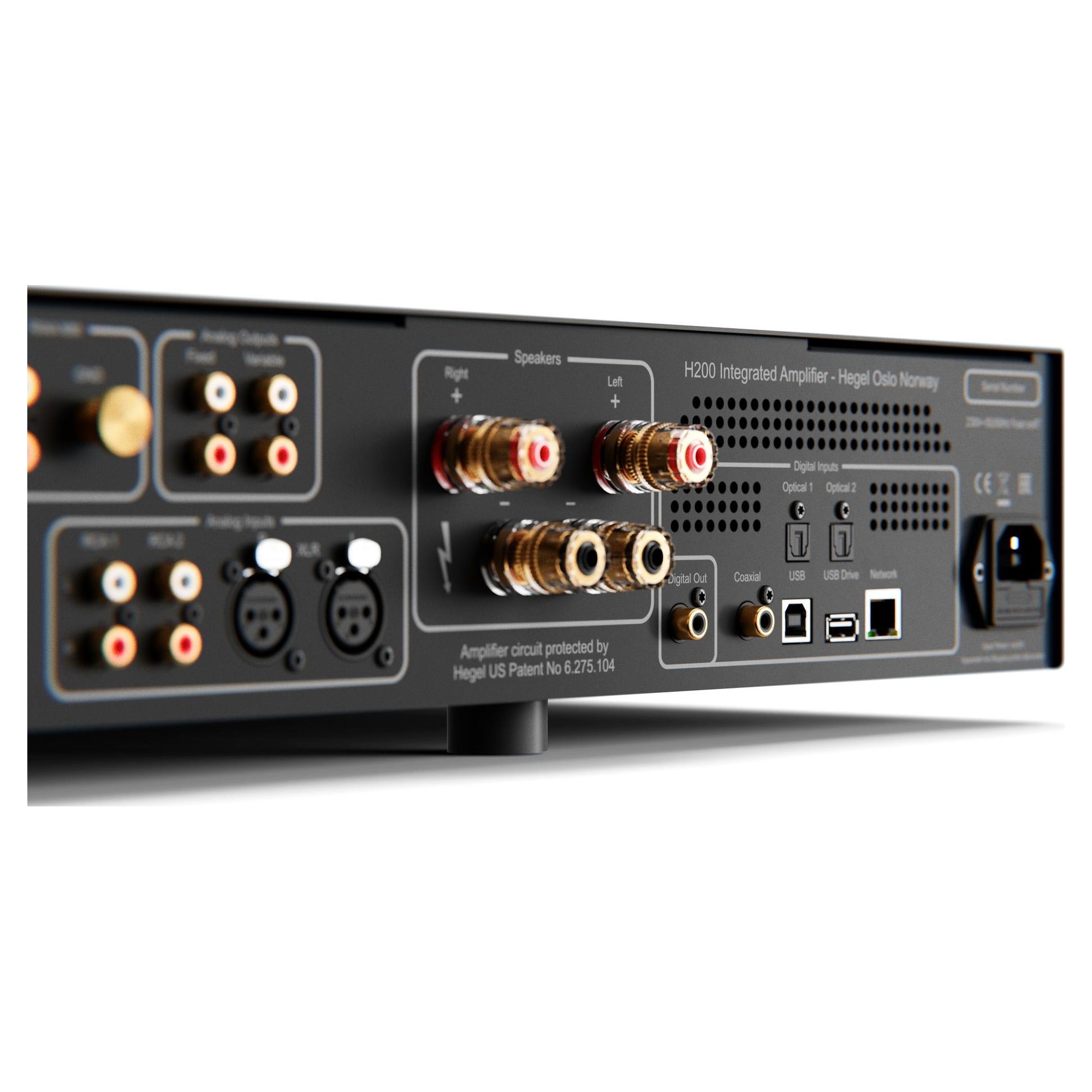 Hegel H200 rear panel with XLR and RCA analogue inputs, speaker binding posts and digital inputs