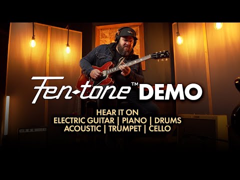 Warm Audio Fen-tone (Stereo Pair)