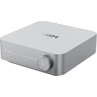 Amplificatori stereo WiiM